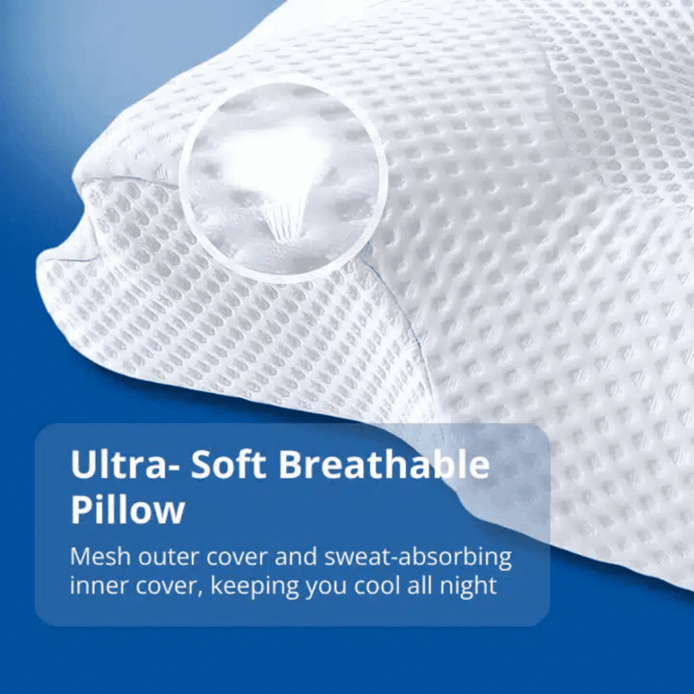 DreamyFoam Pillow (official Retailer) 2025